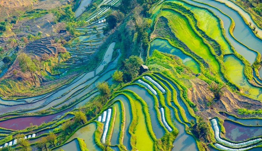 走进上思县TVC拍摄：解锁本地化场景与创意镜头的完美融合